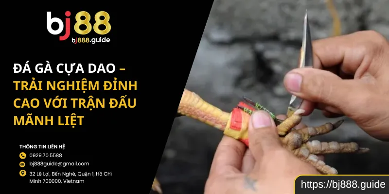 Đá Gà Cựa Dao – Trải Nghiệm Đỉnh Cao Với Trận Đấu Mãnh Liệt